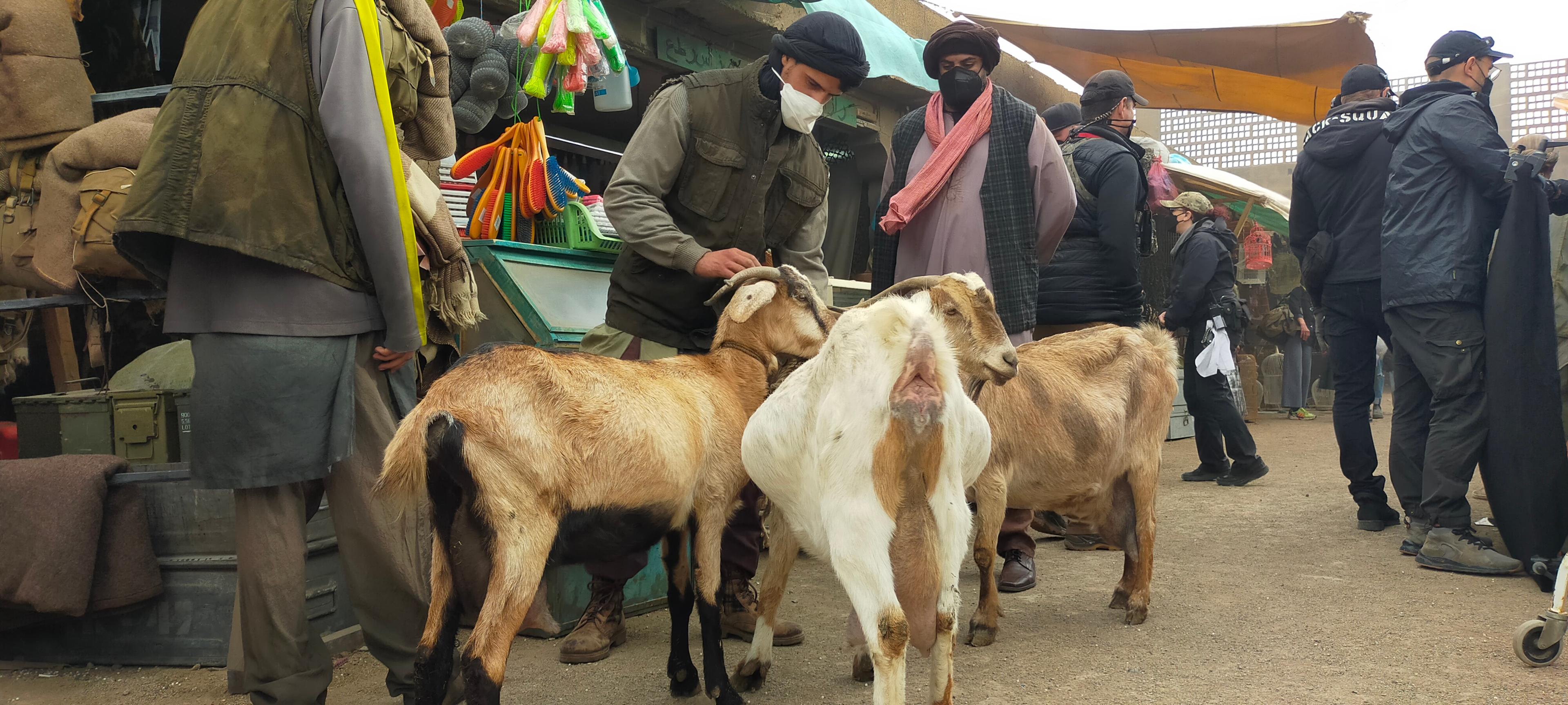 Cabras