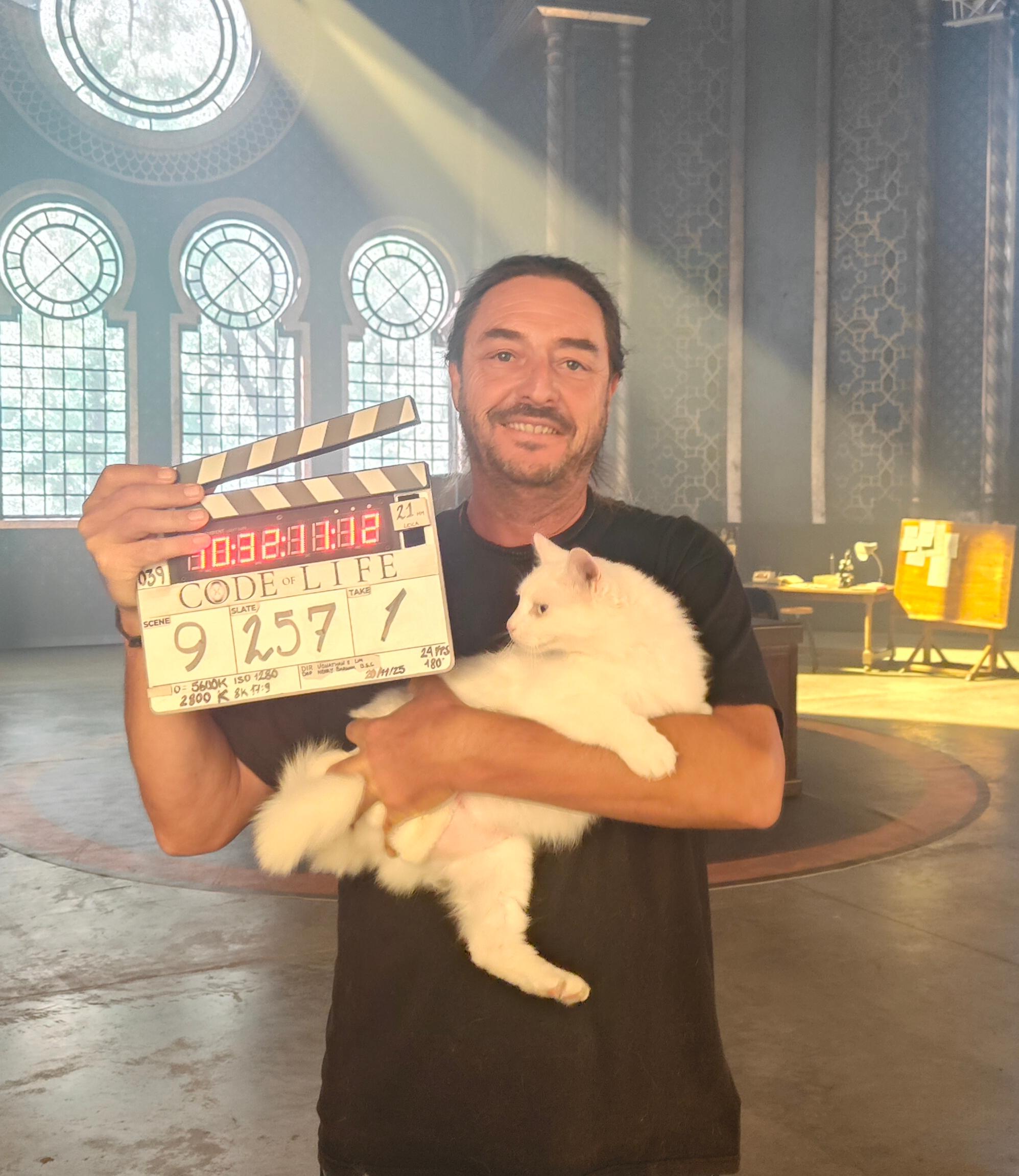 Primavera Gato