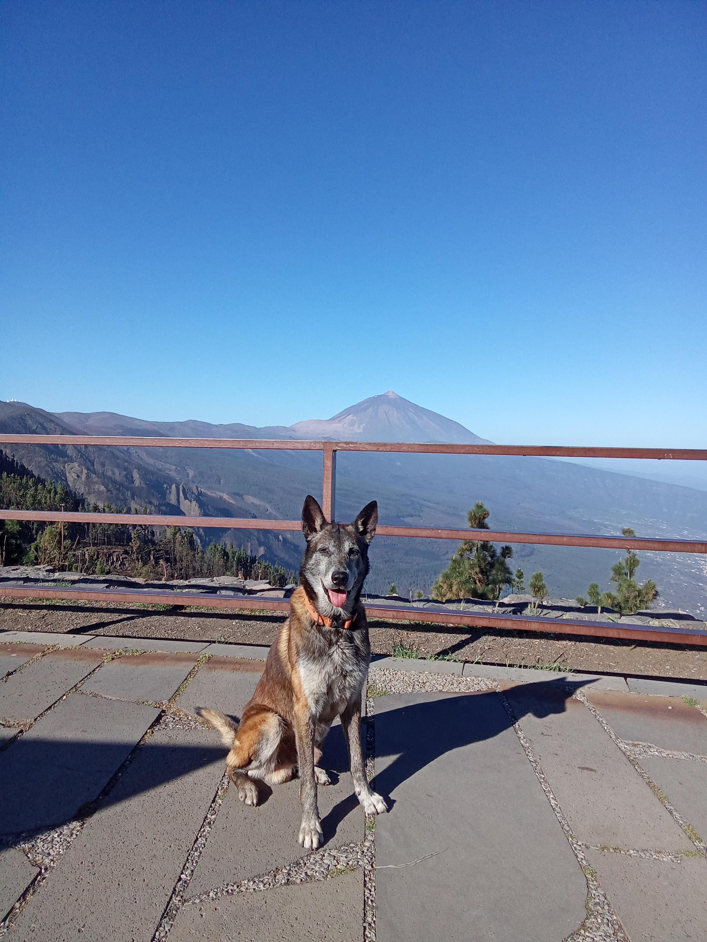 Apolo