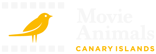 Movie Animals Logo